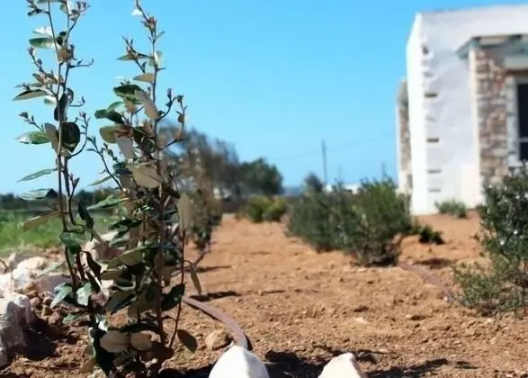 Nakos Homes - Dış Mekan