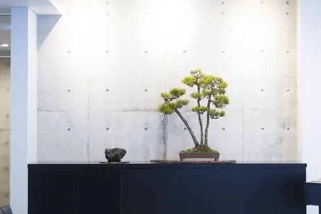 Namari Onsen Kokoronotoki Jusangatsu - Lobi