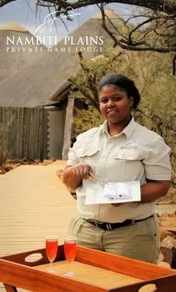 Nambiti Plains Private Game Lodge - Lobi