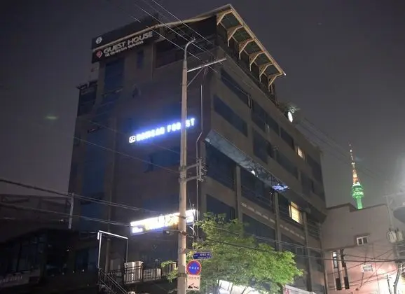 Namsan Forest in Myeongdong