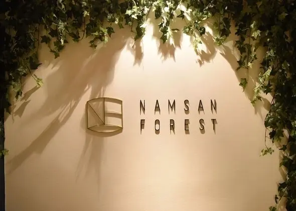 Namsan Forest in Myeongdong - Öne Çıkan Resim