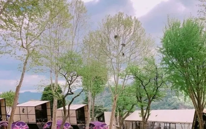 Namyangju The Dreamping