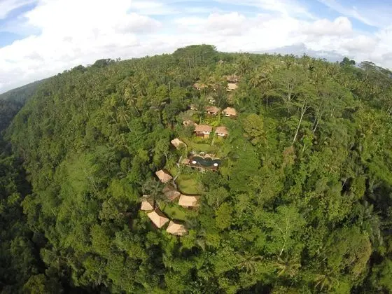 Nandini Bali Jungle Resort & Spa Ubud