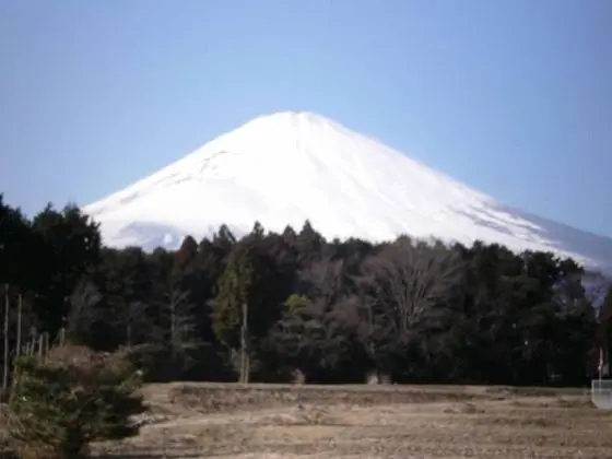 Nankai Yakusokan