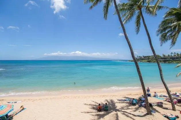 Napili Bay 204 Studio Bedroom Condo by Redawning