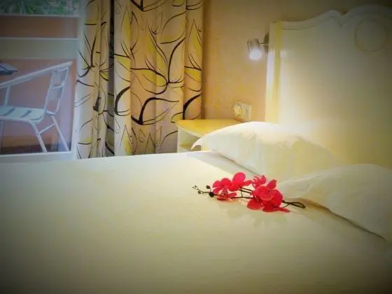 Hotel Napoléon - Oda
