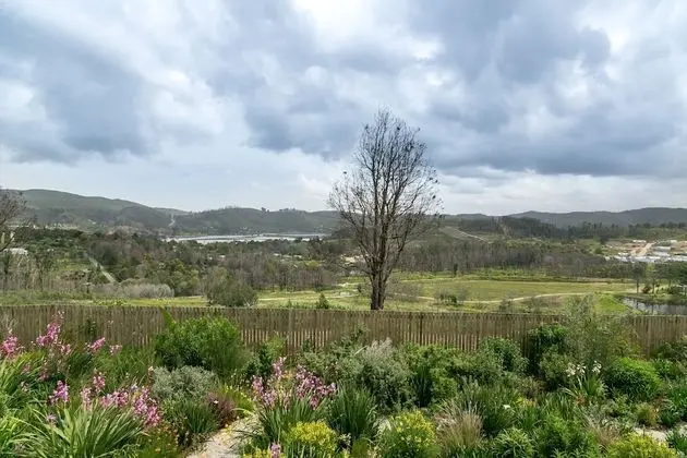 Narnia Guest house - Dış Mekan
