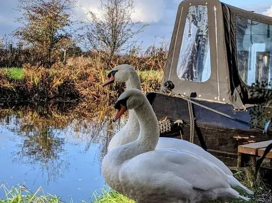 Narrowboat With Hot Tub, Sauna, Massages, Cruising - Genel