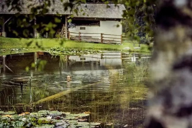 Naturhotel Saalerwirt - Havuz