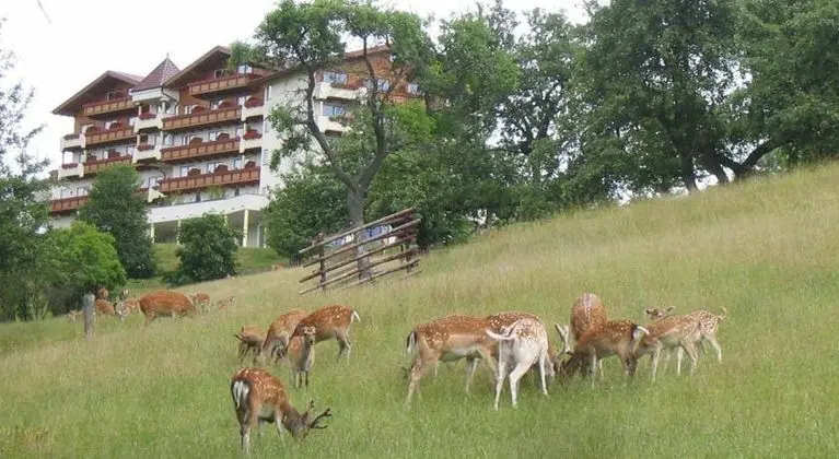 Natur- und Wohlfühlhotel Kastenholz
