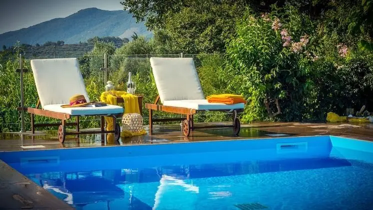 Villa Natura - Havuz
