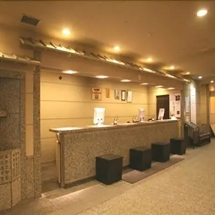 Natural Hot Springs Spa Hotel Hananoi Osaka - Lobi