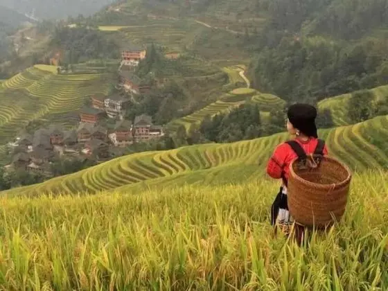 Natural Lodge Homestay