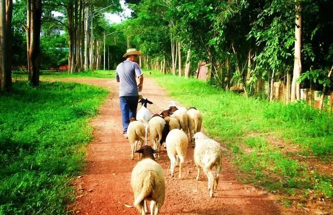 Natural Park Resort De Wangthong - Dış Mekan