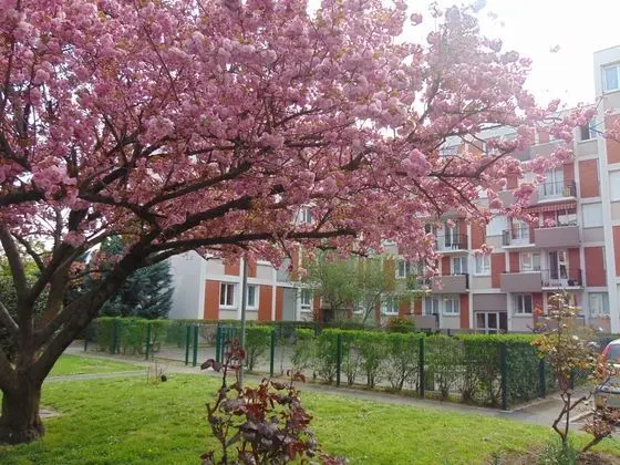 NATURALBNB - Dış Mekan