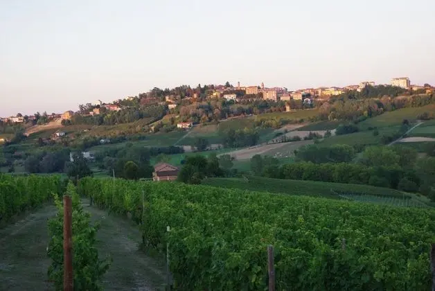 NaturalMente Wine Resort - Dış Mekan