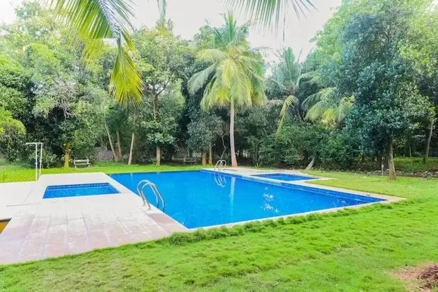 Nature Breeze Resort and Spa - Havuz
