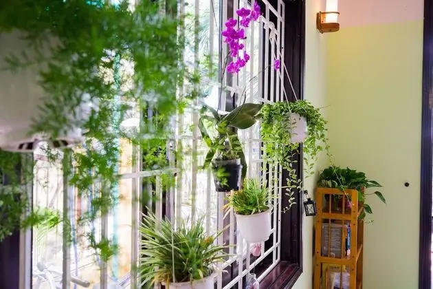 Nature Homestay