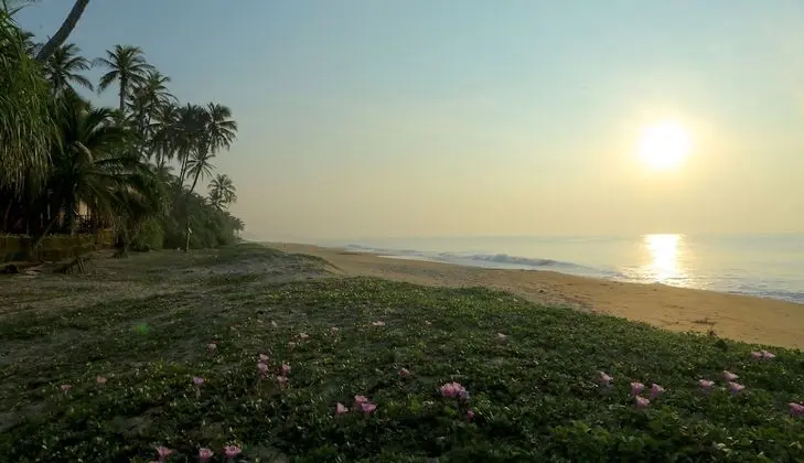Nature Lanka Ayurveda Resort - Plaj