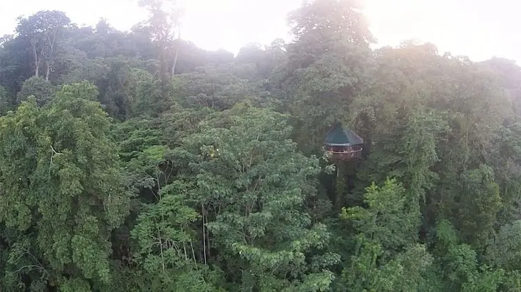 Nature Observatorio Amazing Treehouse - Dış Mekan
