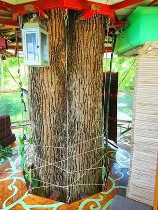 Nature Observatorio Amazing Treehouse - İç Mekan