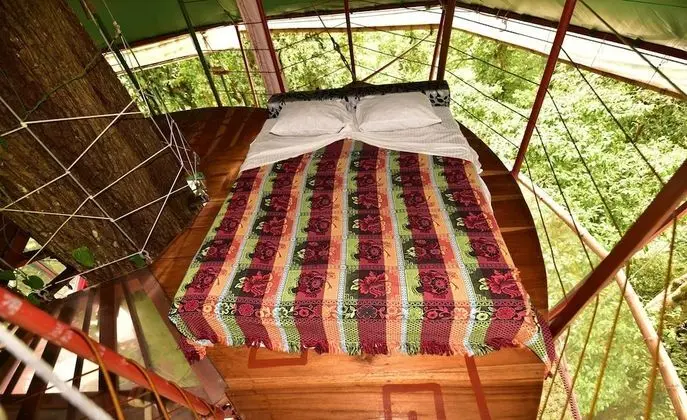 Nature Observatorio Amazing Treehouse - Oda