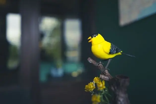 Nature Shelter Hotel