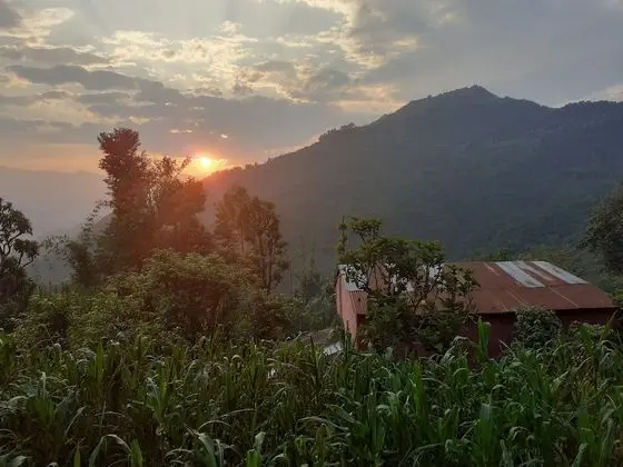 Nature Side Cottage