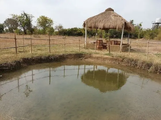 Nature sprout's Bodhivann Jungle Camp - Dış Mekan