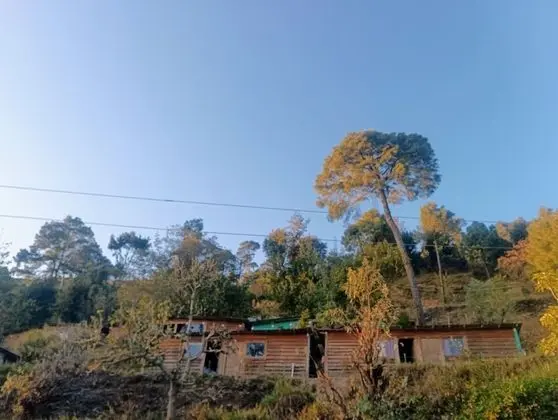 Nature Valley