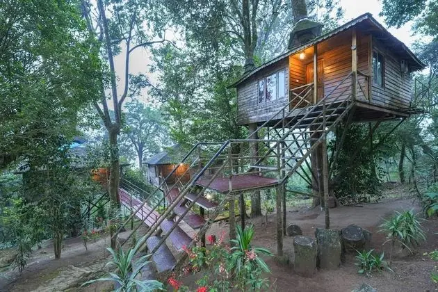 Nature Zone Jungle Resort