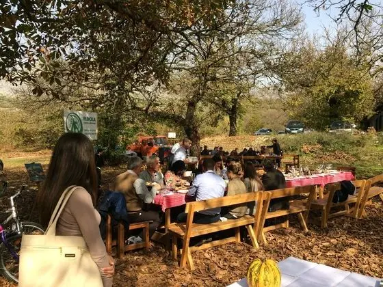 Natyral Razma Resort - Dış Mekan