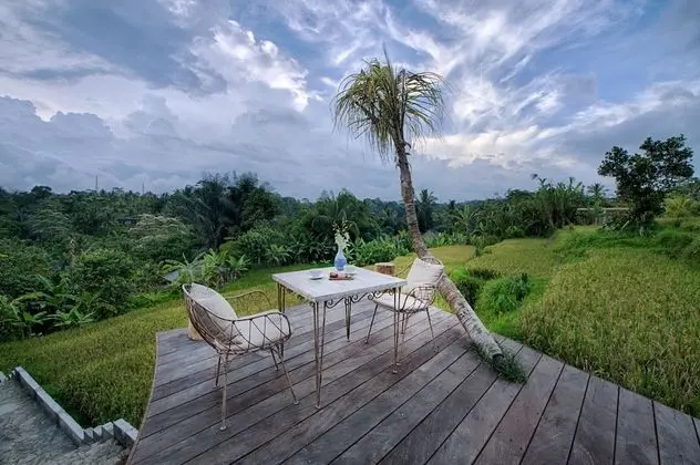 Nau Villa Ubud - Dış Mekan