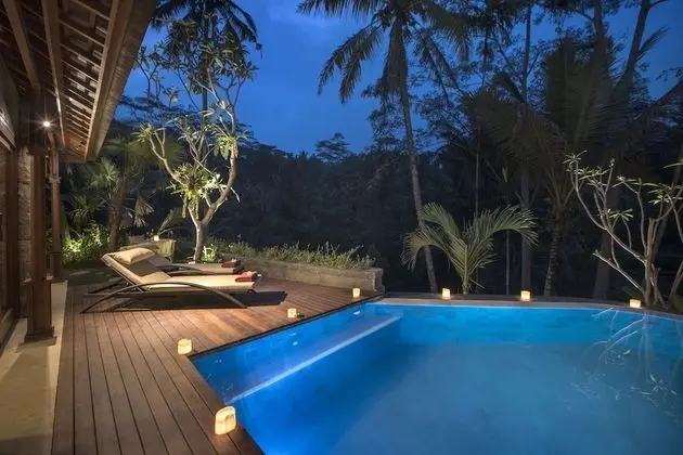 Nau Villa Ubud - Havuz