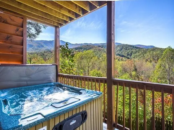 Naughty by Nature by Jackson Mountain Homes - Havuz