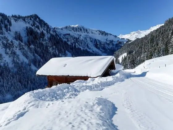Naulaz Val-dilliez in Val-dilliez - Oda