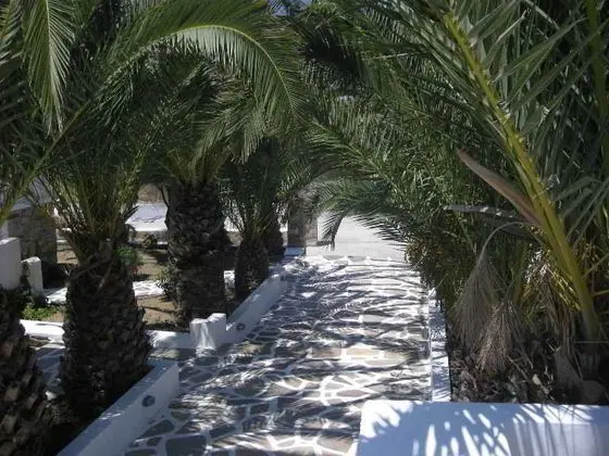 Naxos Holidays