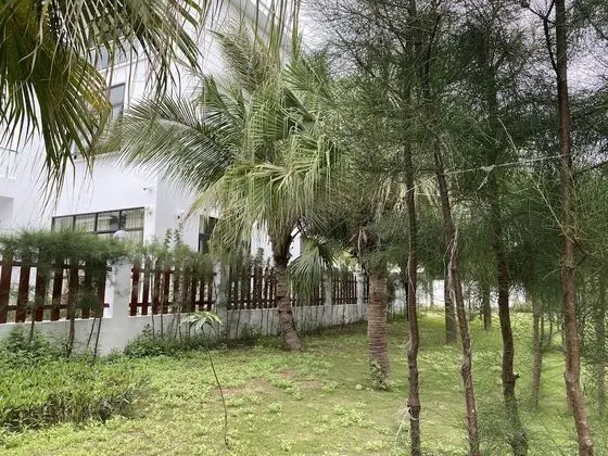 NB Hoang Gia 1 Hotel