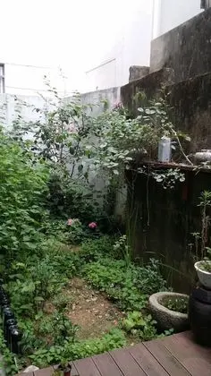NeaRest Guesthouse in Jeonju - Hostel - Dış Mekan