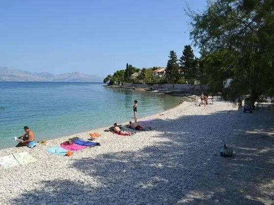 Neda - 80m From the sea - A1 - Plaj