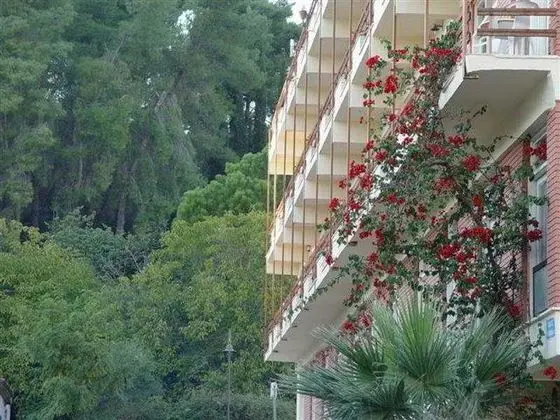 Neda Hotel - Genel