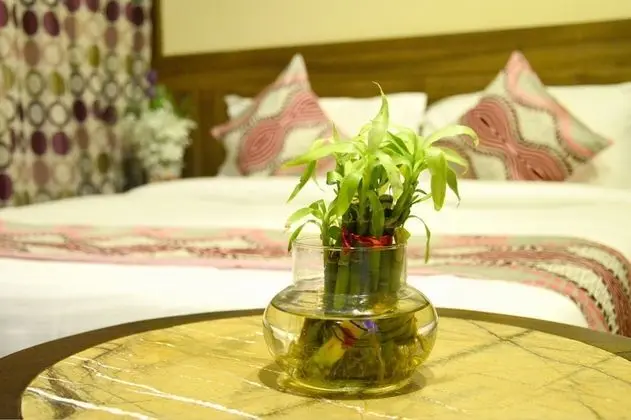 Hotel Neelam Paradise - Öne Çıkan Resim
