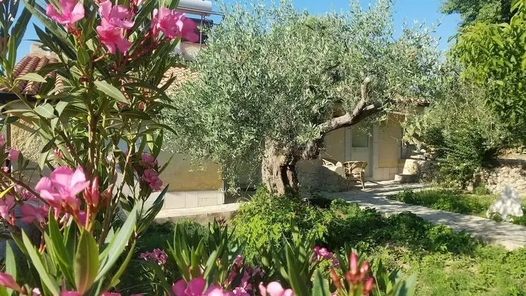 Neeton Noto Bed & Breakfast