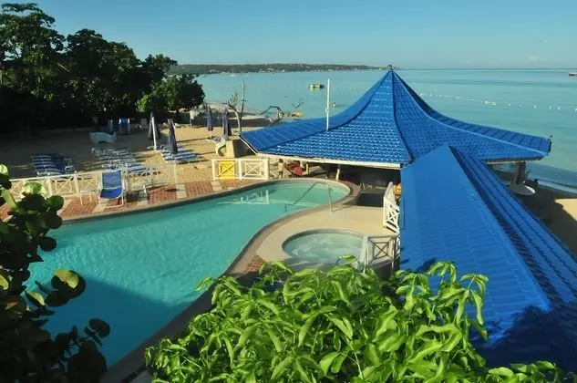 Negril Tree House Resort - Havuz