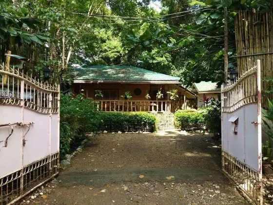 Nelly's Nipa hut - Dış Mekan