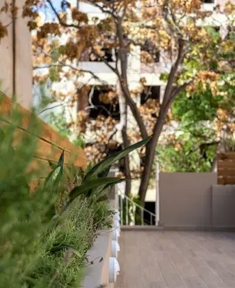 Nemeseos 82m² homm Apartment with Roof Garden and Pool - Dış Mekan