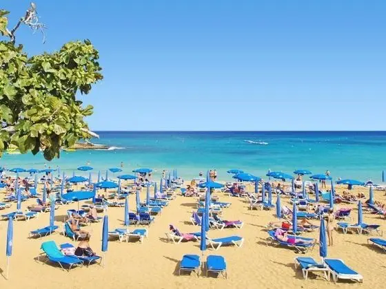 Nemesis Paralimni in Paralimni - Oda
