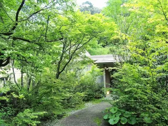 Nemunohana