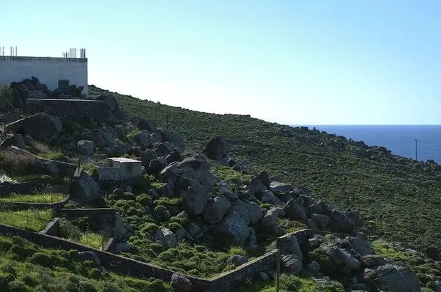 Nena's Art House - Dış Mekan