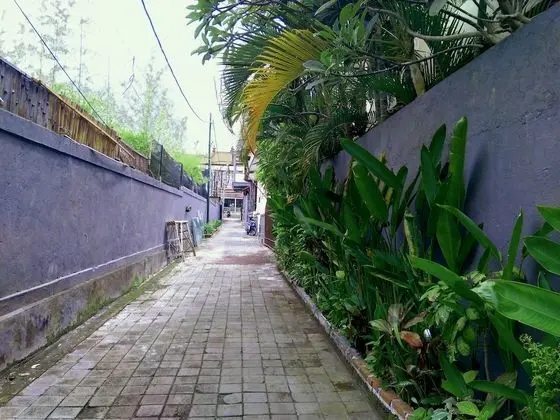The Nenny Bali Villa Family Home Rentals Seminyak - Dış Mekan